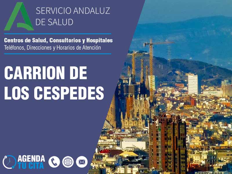 Centros de Salud en Carrion De Los Cespedes - Telfonos, Direcciones y Horarios de Atencin