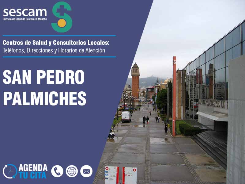 Centros de Salud en San Pedro Palmiches - Telfonos, Direcciones y Horarios de Atencin